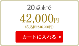 20点まで　39000円