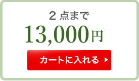 2点まで　9000円