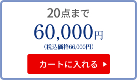 20点まで 60000円